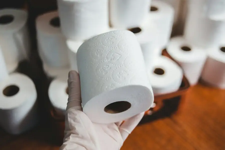 Rouleaux commerciaux d'essuie-tout et de papier hygiénique avec distributeurs